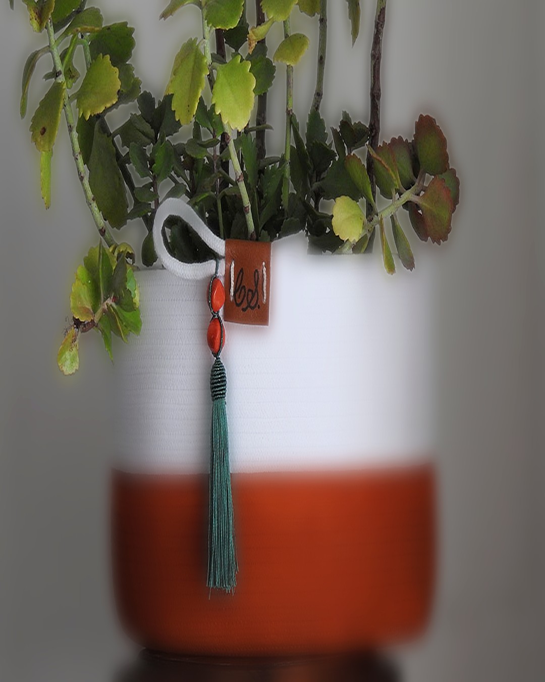 Cachepô em corda de algodão com planta — Ateliê Carminha