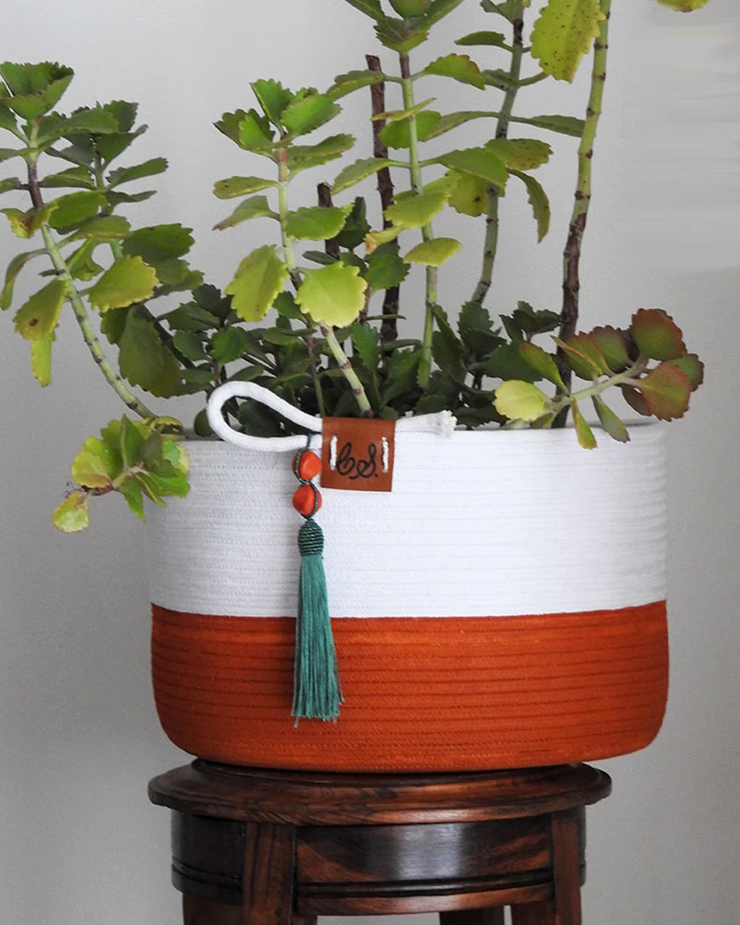 Cachepô em corda de algodão com planta — Ateliê Carminha